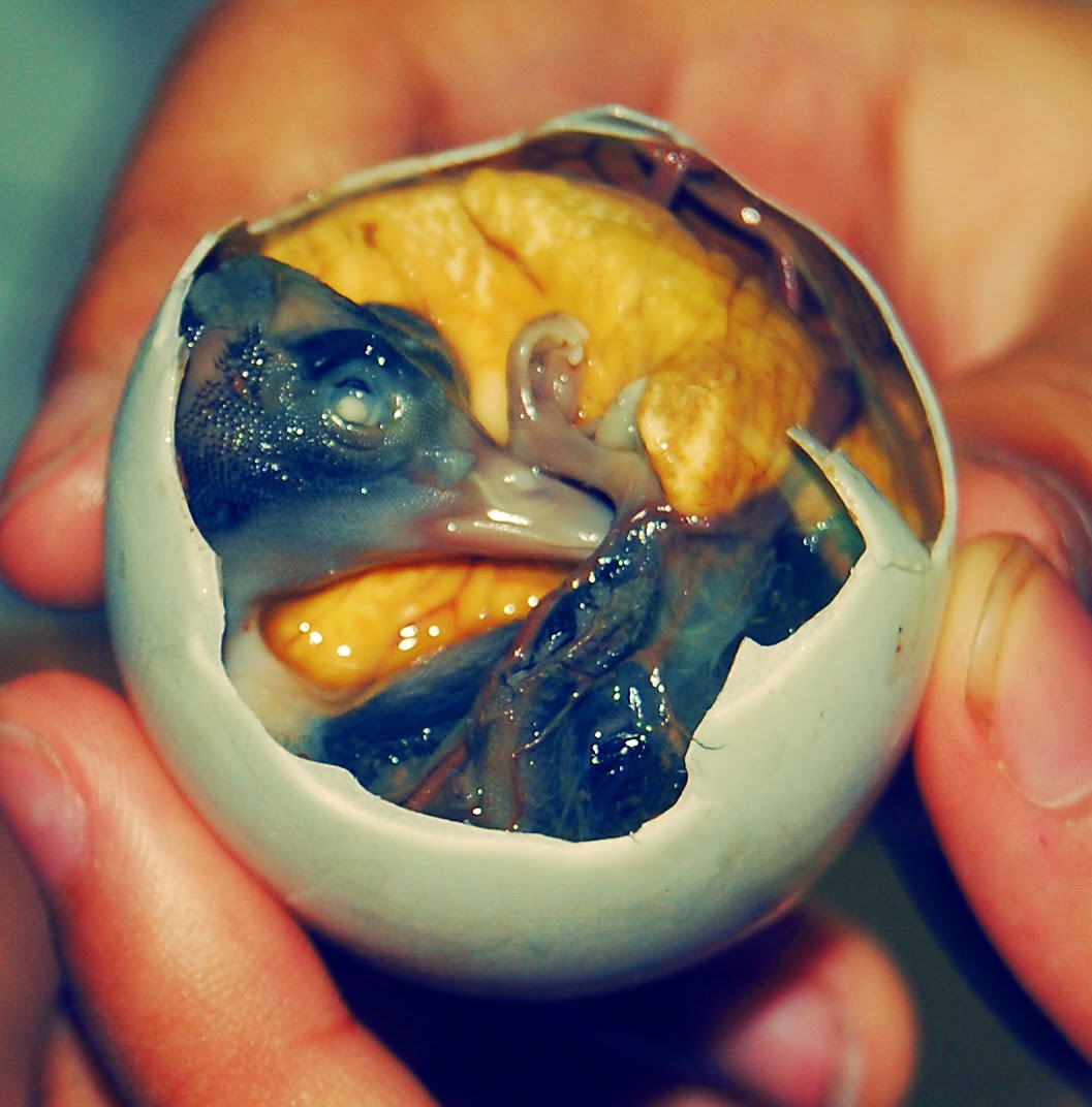 balut.jpg
