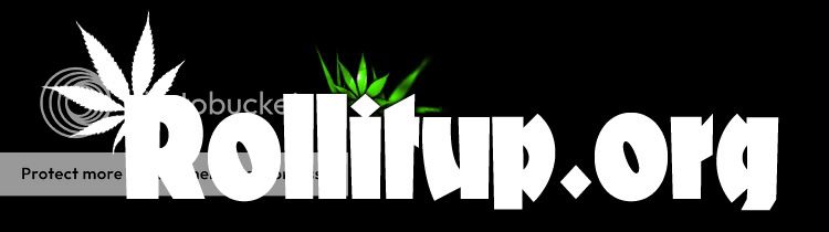RIUbanner.jpg