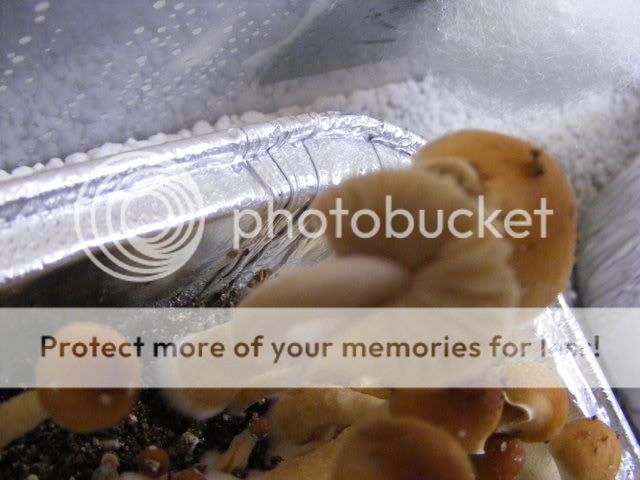 projects046.jpg