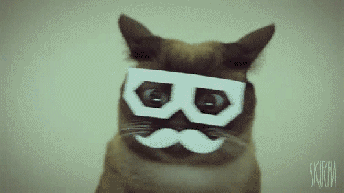 tumblr_m1uaz8xFYl1r6n3ayo1_500.gif
