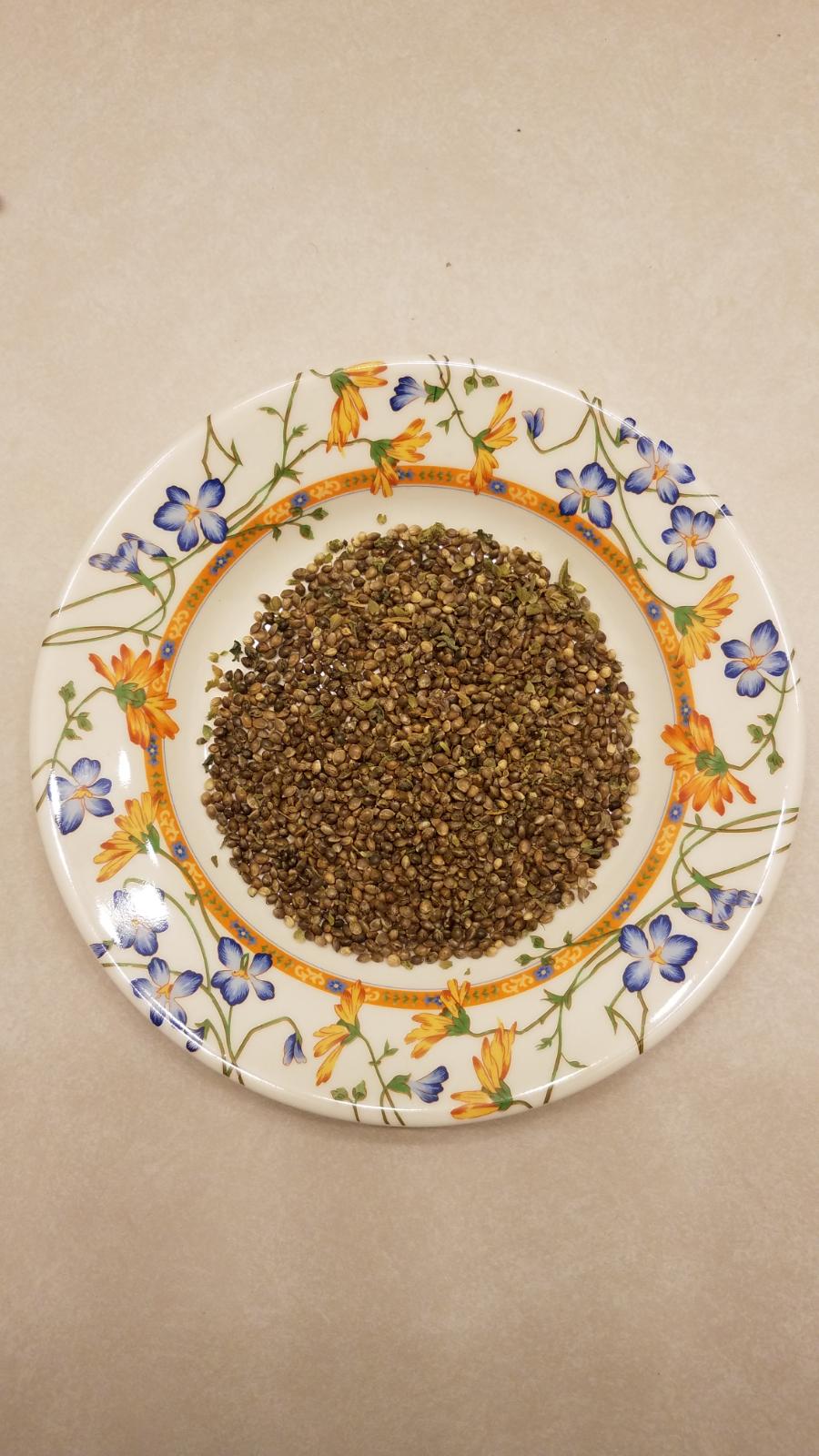 seedplate.jpg