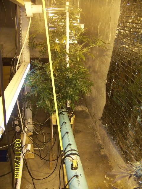 100_1530.jpg