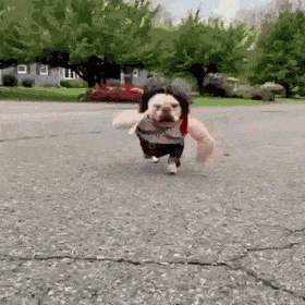gifs_08.gif