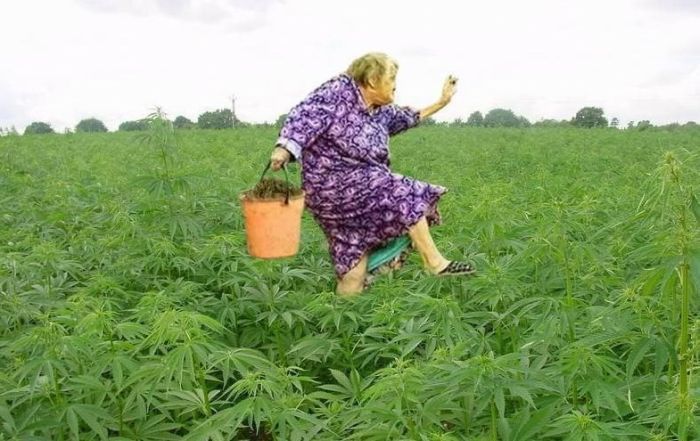 acid_picdump_107.jpg