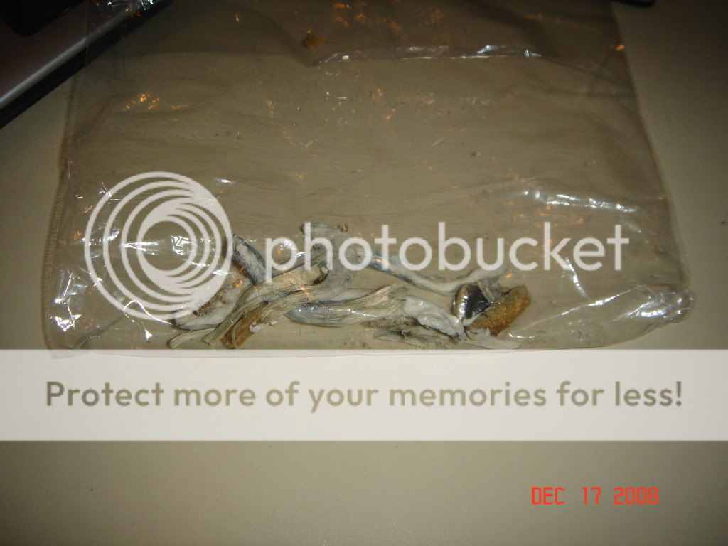 DSC02861.jpg