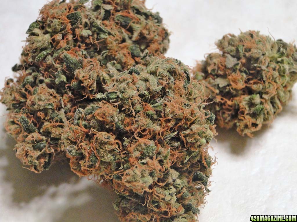 Chem_Dog2_21.jpg