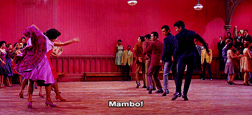 tumblr_mguze04Zoq1qkwdm8o1_500.gif