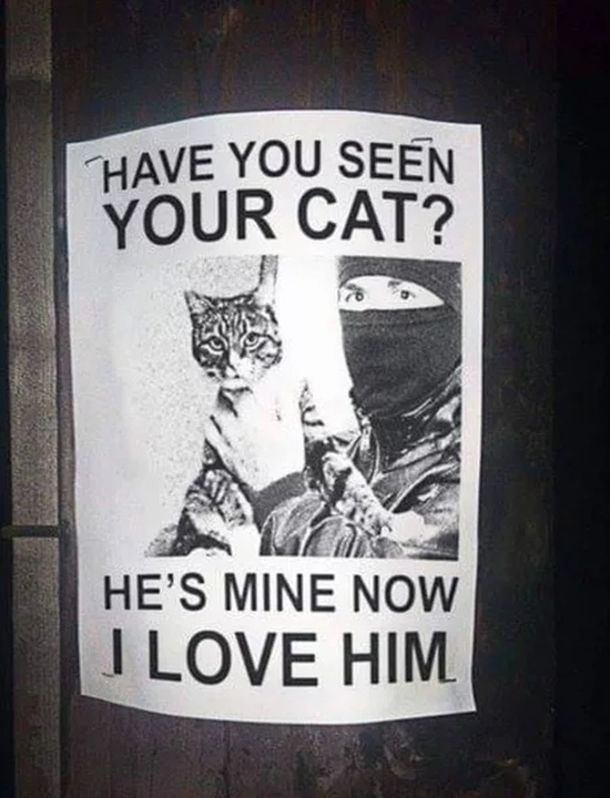acid_picdump_23.jpg