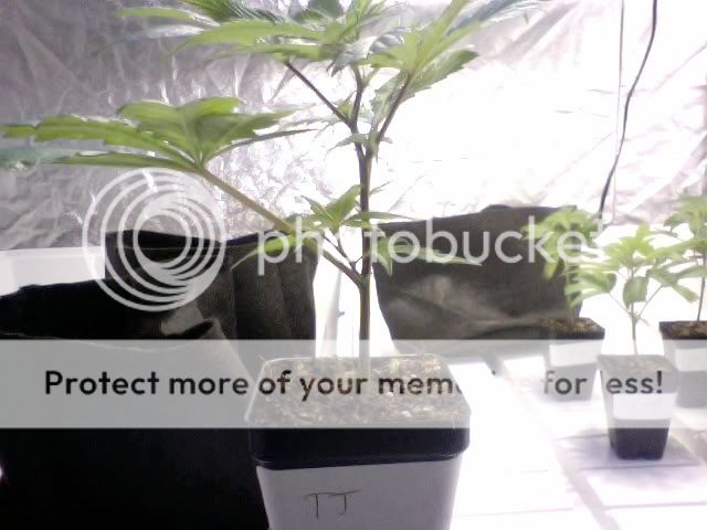 Photo2-1.jpg