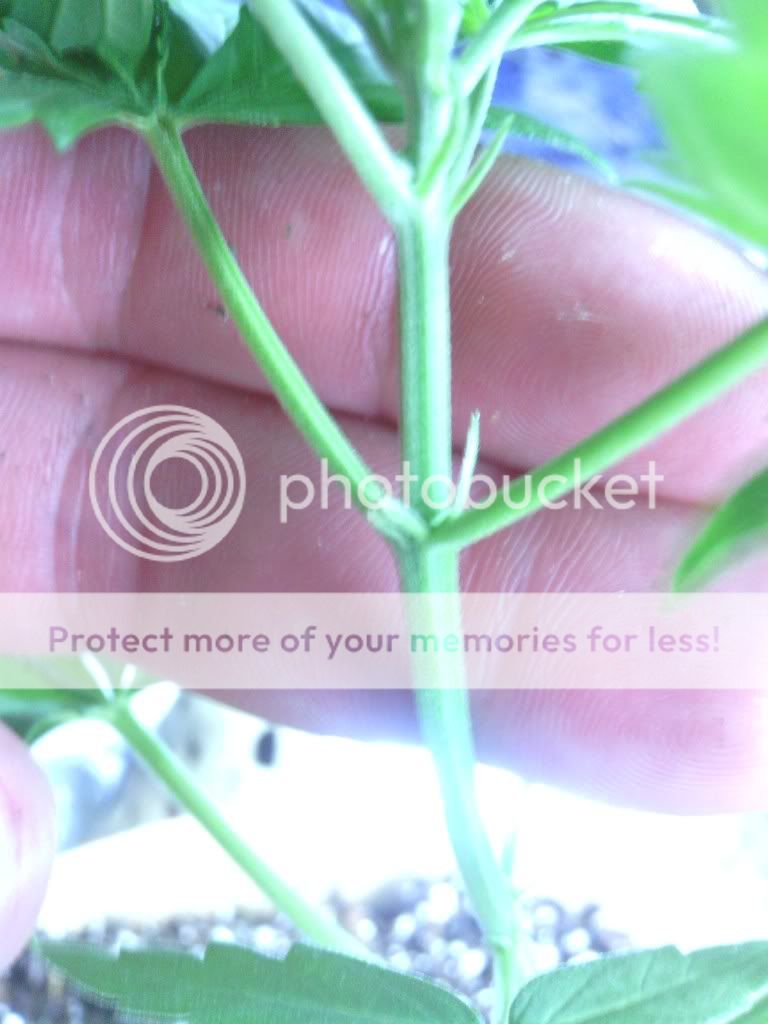 IMG_20120629_104302.jpg