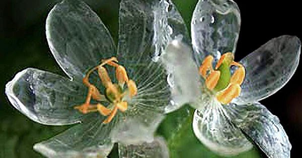 10542_00.jpg