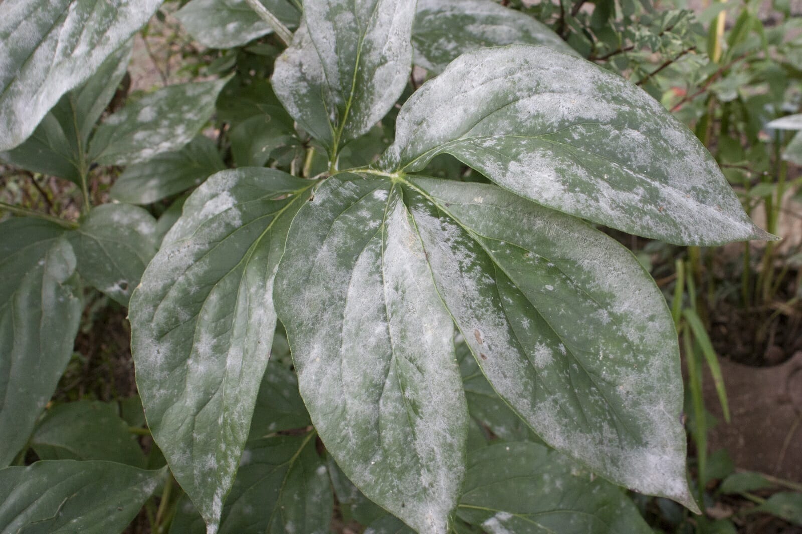 www.questclimate.com