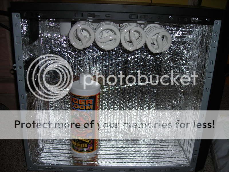 DSCN0250.jpg