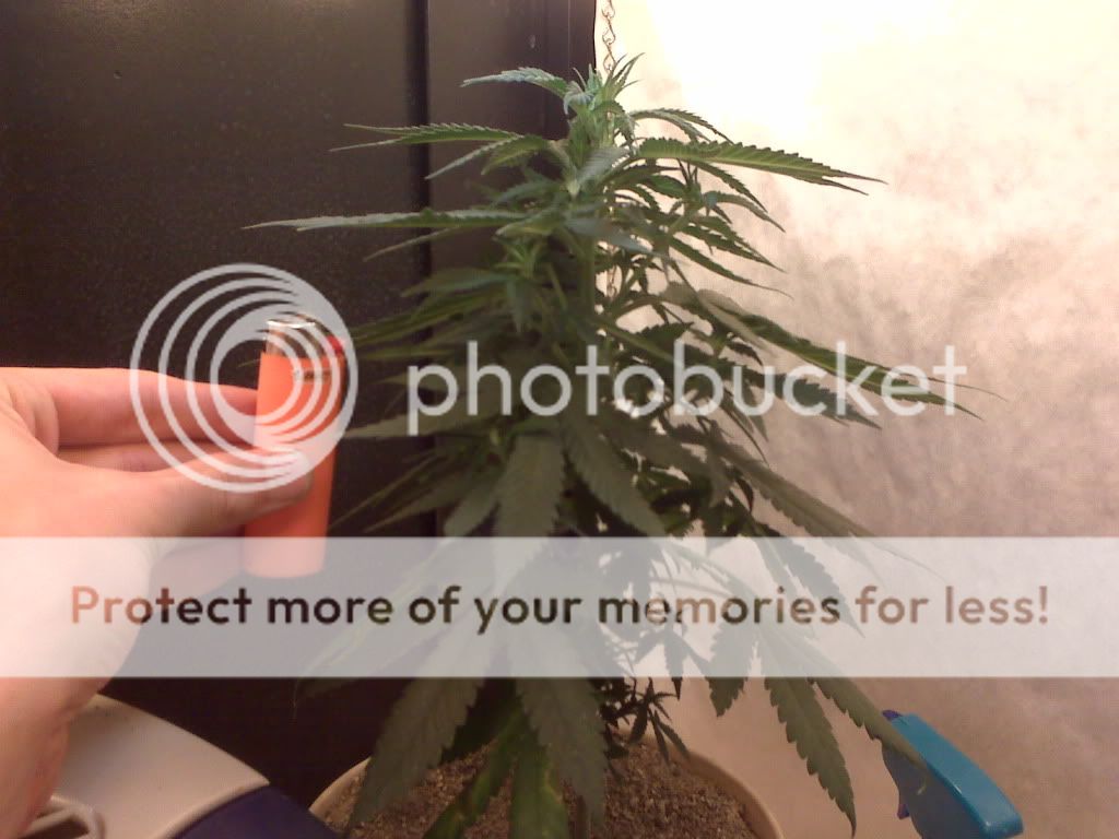 IMG00015.jpg