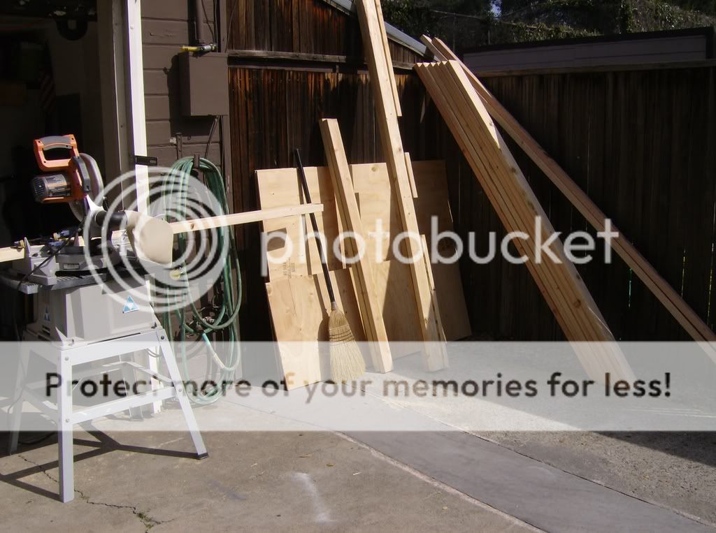 ImportedPhotos00154.jpg