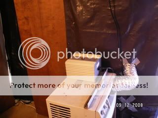 PICT0406.jpg