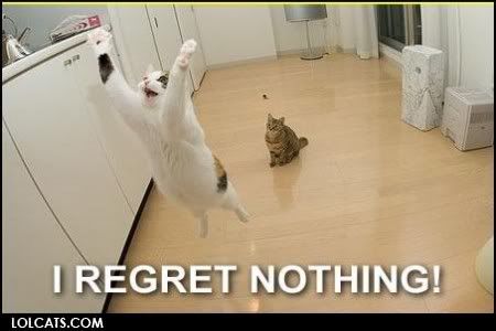 lolcatsdotcombi5v3zxnqlumms0d.jpg