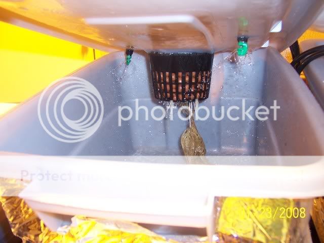 000_2367.jpg