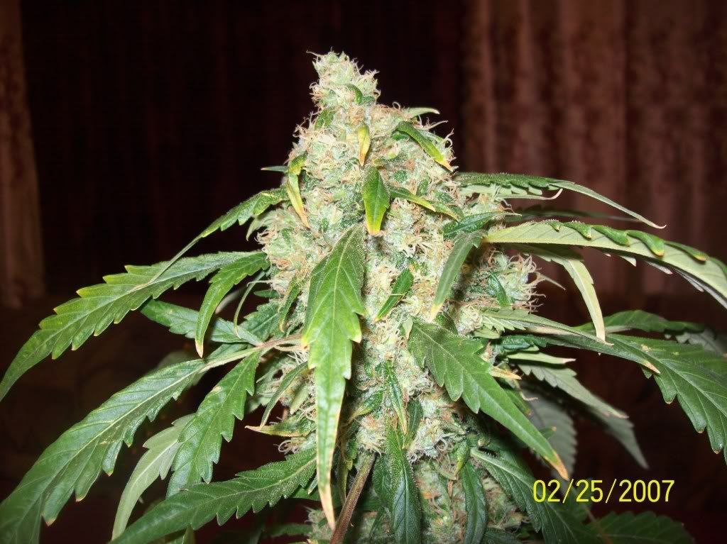 100_8322.jpg