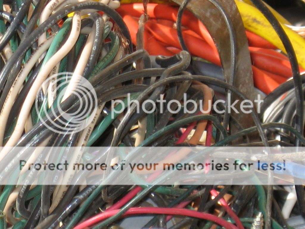 IMG_1989.jpg