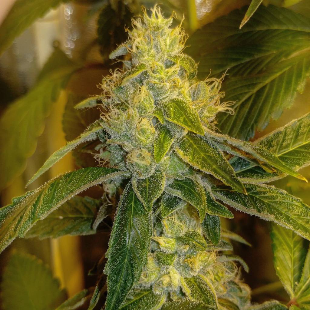 6c04624a33cbd4b43aa2dd9e3da3b0c3.jpg