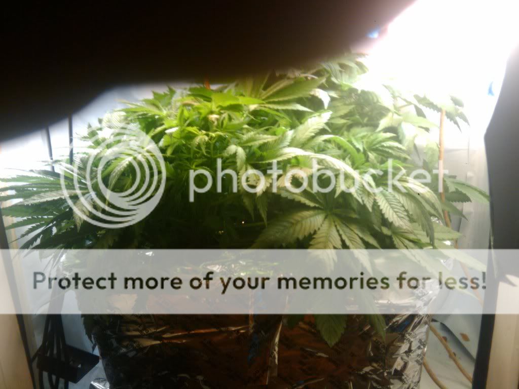 2010-09-20190924.jpg