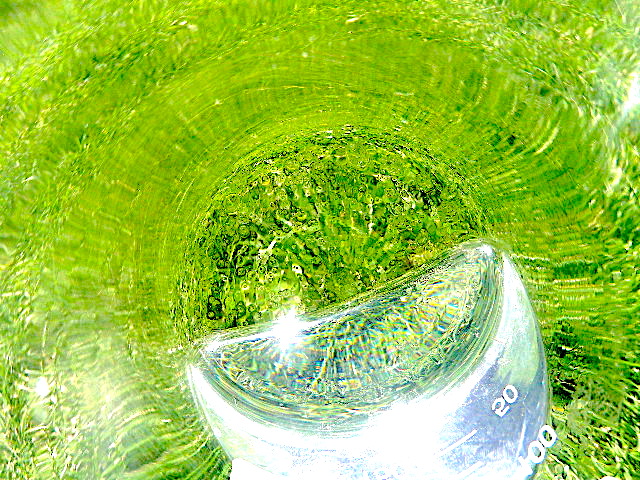 P1011871.jpg