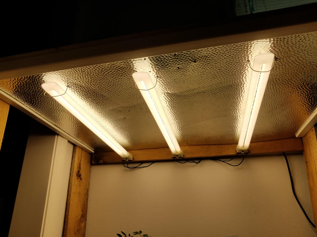 light41a.jpg
