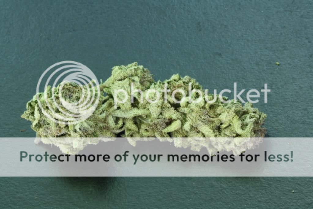 dpbud1mocure.jpg