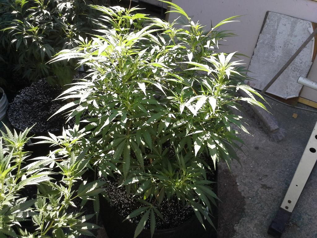 20140620_093757.jpg
