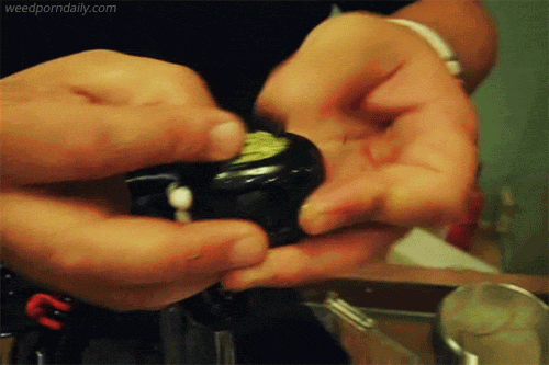 tumblr_m0mr2kZtJQ1qjczh3o1_500.gif