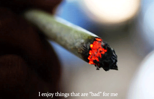 tumblr_m3z5szkqOK1qd36g7o1_500.gif