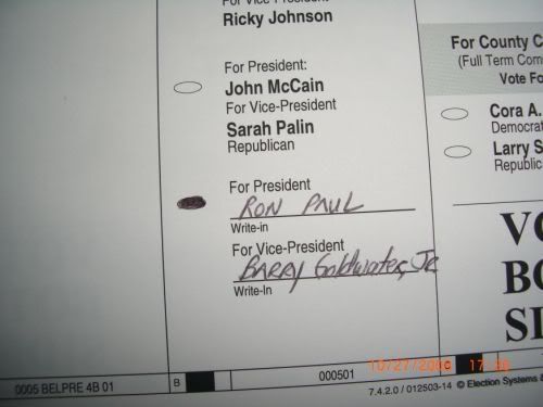 ronpaulvote.jpg