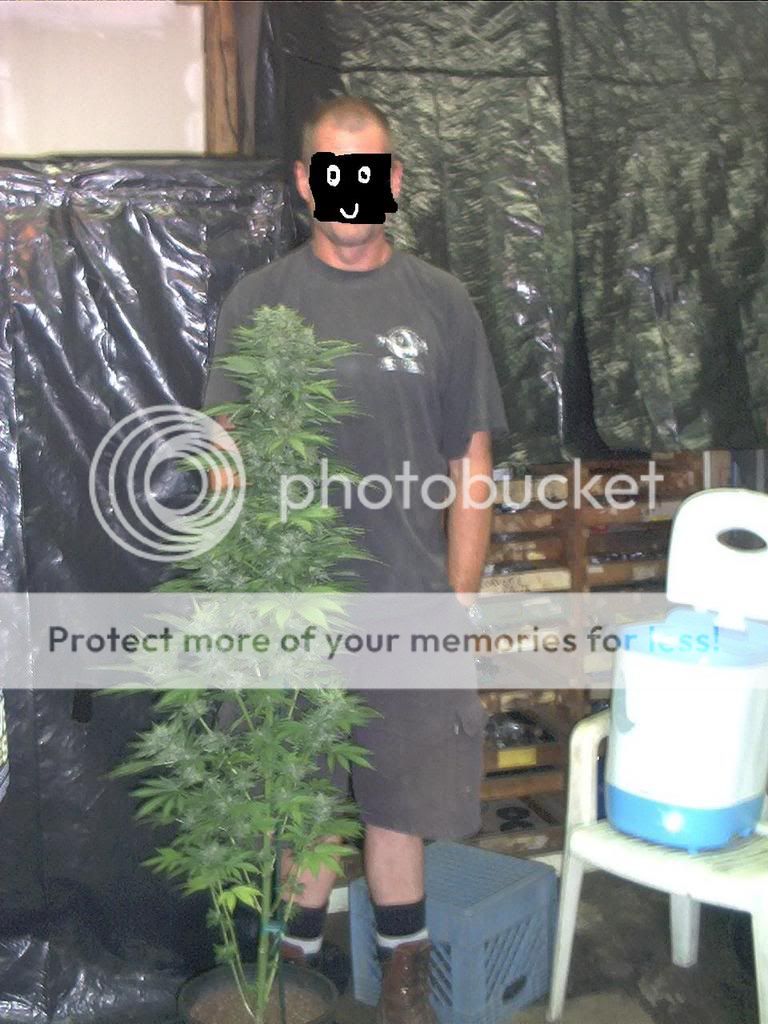 trainwreck.jpg