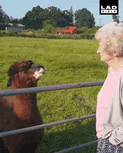 gifs_22.gif