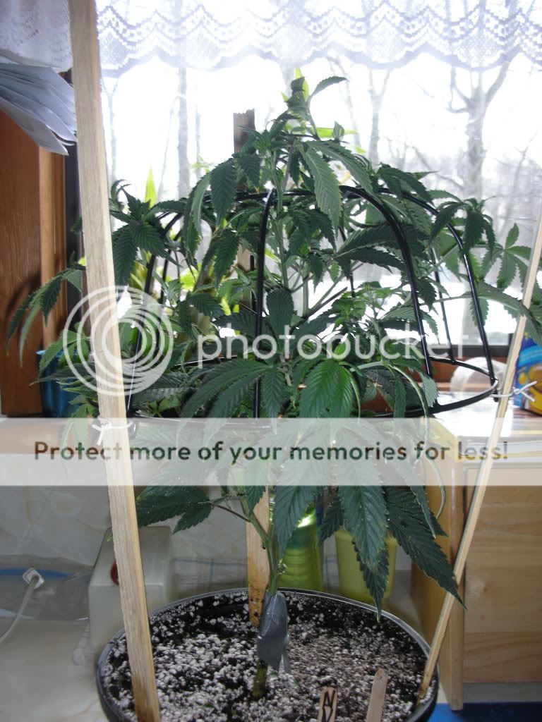 DSCN2318.jpg
