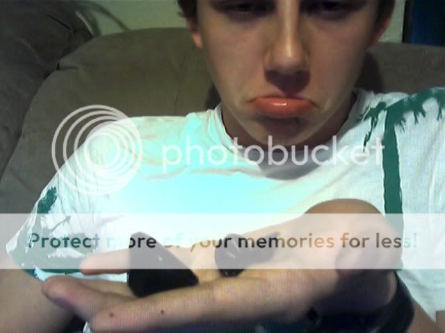 WebCam_20091030_1934.jpg
