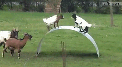 E8QTjgv.gif