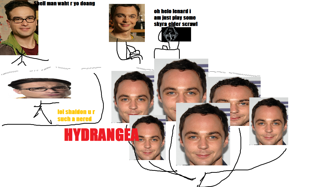 pqvNX.png