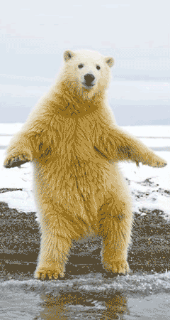 b16a567f98a9f1128131e1b92e73bf79.gif
