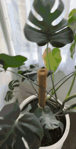 1674160984_21.gif