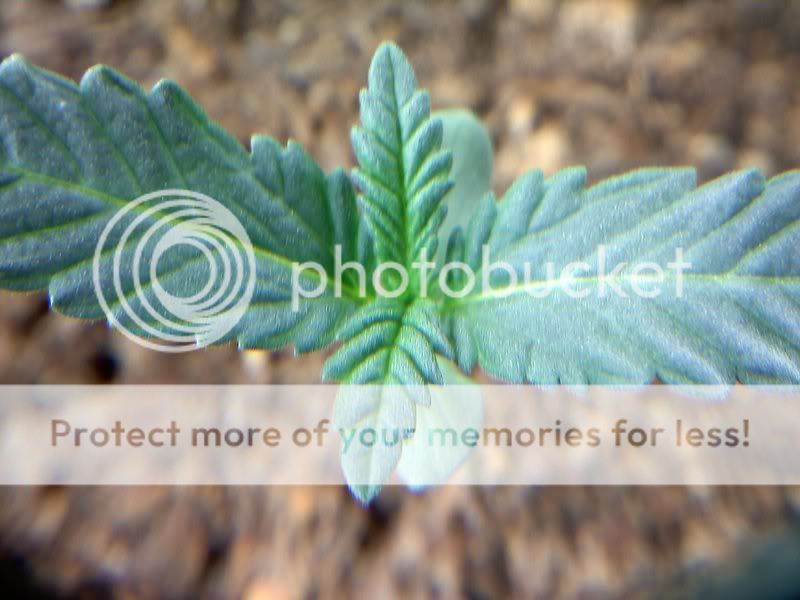 20111222201955.jpg