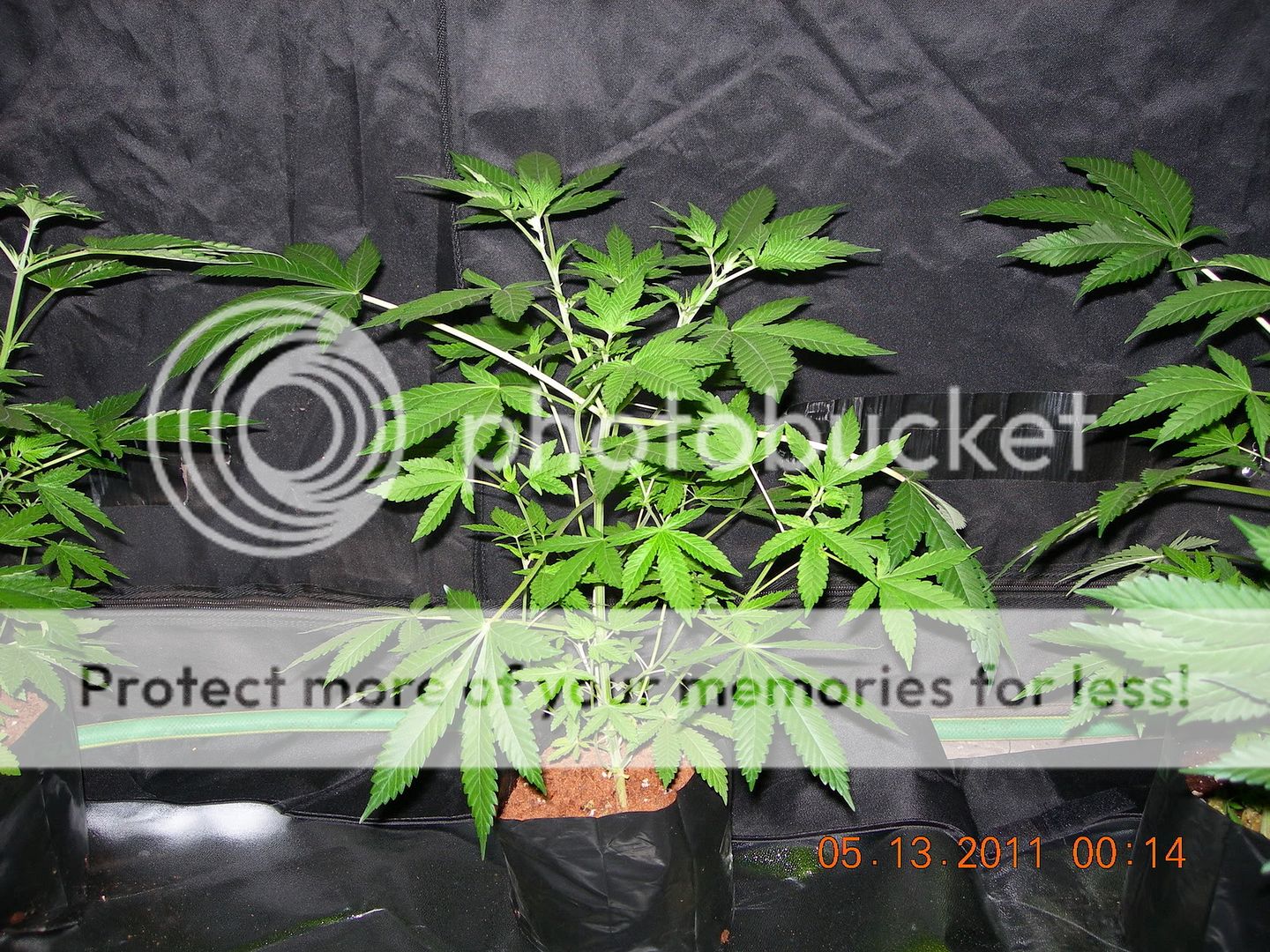 DSCN9495.jpg