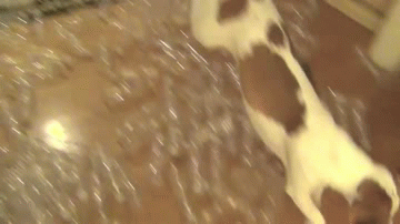 YzciyIs.gif