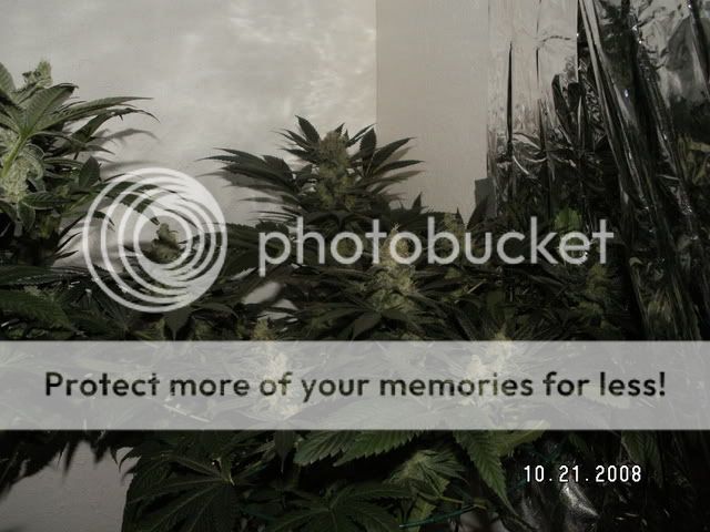 PICT0053.jpg