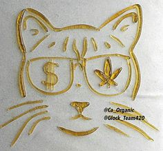 f8fe83a1cd39d9efe23b76de9fd09cac.jpg