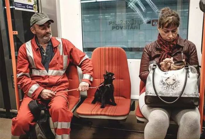 acid_picdump_12.jpg