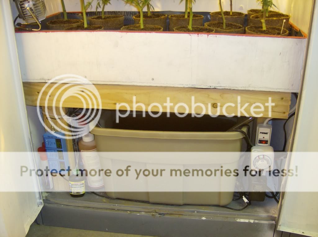 ImportedPhotos00131.jpg