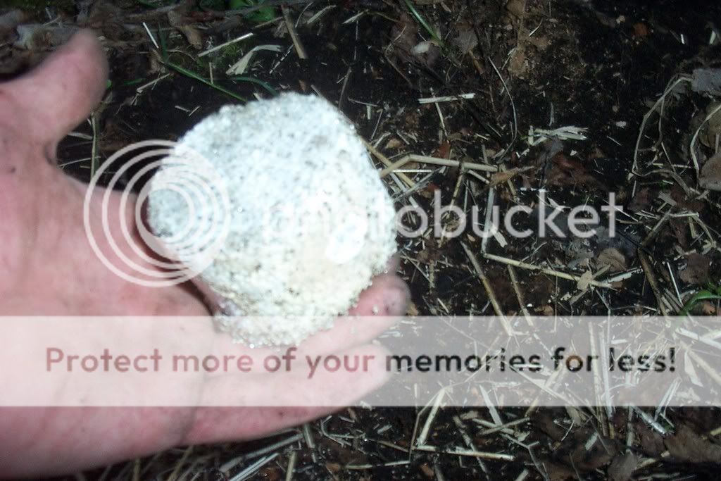 everything056.jpg
