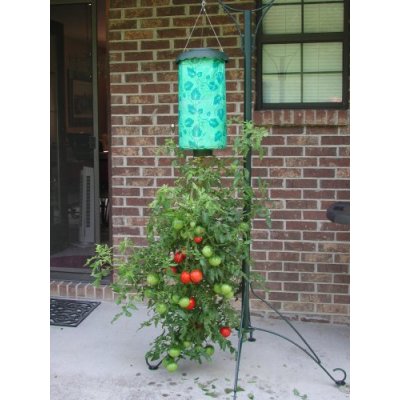topsy-turvy-tomato_5.jpg